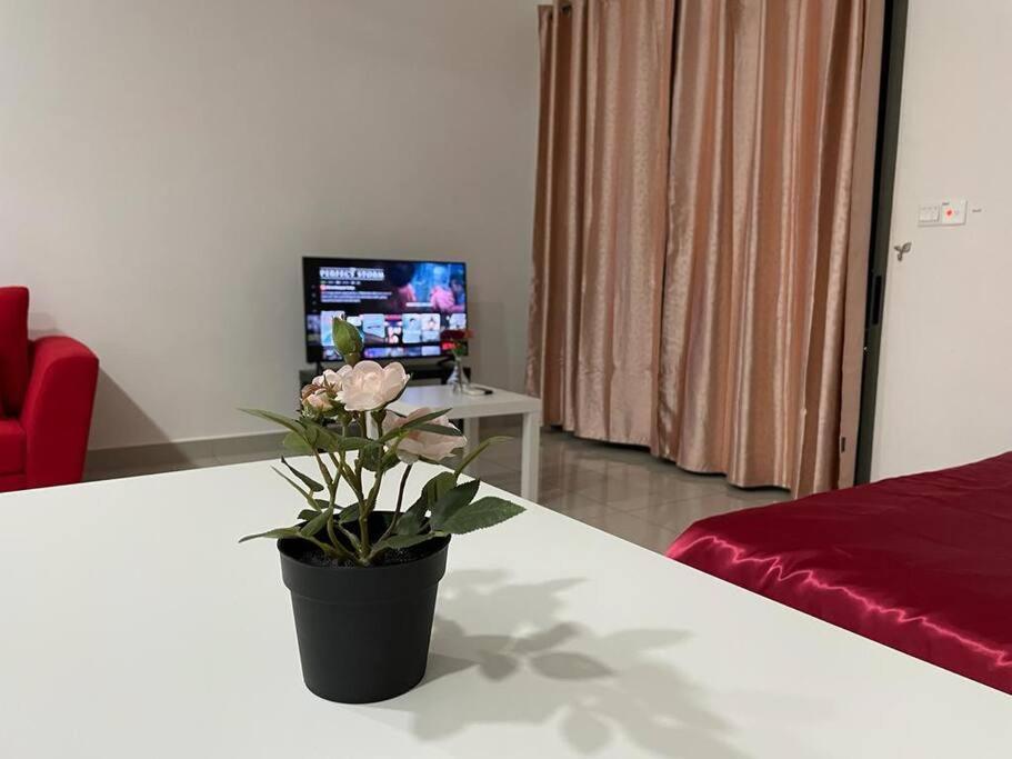 Cc33a2a Self-check-in-netflix-wifi-parking-pool-balcony, 2019